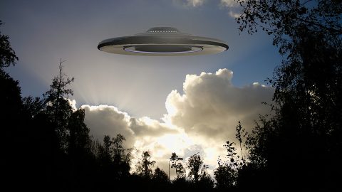 欧洲夏季目击事件汇总